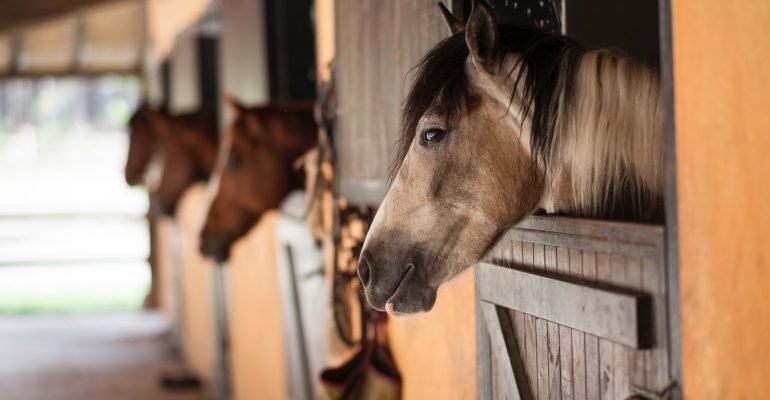 Sprawy rodzinne w sądzie